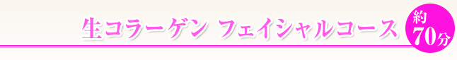 生コラーゲンフェイシャルコース