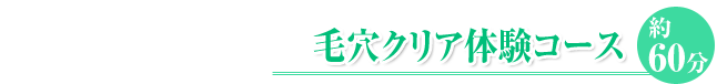 毛穴クリア体験コース約60分