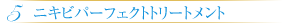 5 ニキビパーフェクトトリートメント