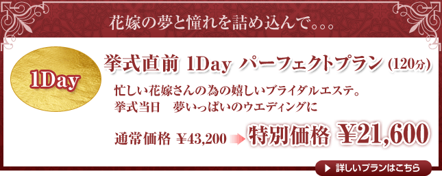 1Day　挙式直前1Dayパーフェクトプラン（120分）通常￥42,000→特別価格￥21,000