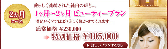 2ヵ月コース　1ヵ月～2ヵ月ビューティープラン　通常￥230,000→特別価格￥105,000