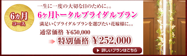 6ヵ月コース　6ヵ月トータルブライダルプラン　通常￥650,000→特別価格￥252,000